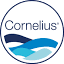 corneliuspools.com