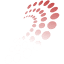 digicom.ie