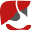 hepatogastro.com.br