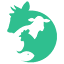 takdambazar.com