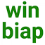 winbiap.de