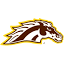 wmubroncos.com