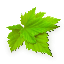 akne.com.ua