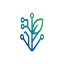 cachetechsolutions.com