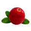 cranchile.com