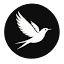 crescenzio.com