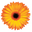 fareastfloragarden.com
