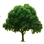 ljrtreeservices.com