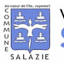 ville-salazie.fr