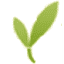 vitalhealthzone.com