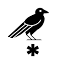 youngwritersproject.org