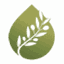 aceitedelcampo.com