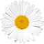 bauernhof-suedtirol.com