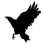 blacksaltphotos.com