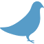 blueillusion.com