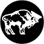 buffalolimousine.com