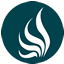 fisioterapia-online.com