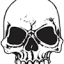 fullthrottlesaloon.com
