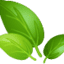 kerea.org