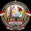 lbhccisulteng.com