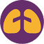 nlhep.org