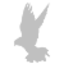 pkvk.ee