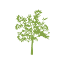 raintreehospitality.net