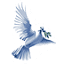 whitedovehealing.com
