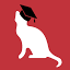 academiaobscura.com