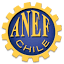 anef.cl