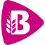 bakkerbart.nl