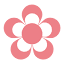 blossome.support