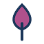 caremaster.com.au