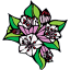 ct-botanical-society.org