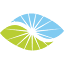 dawn-network.consulting