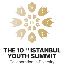 istanbulyouthsummit.com