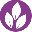 sexualassaultsupport.ca