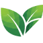 bancaycanhdep.com