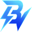 bv2shop.com