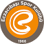 eczacibasisporkulubu.org.tr