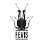 fevis.com