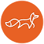 foxtale.in