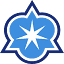 holychildrye.org