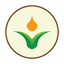 lawncarelab.com