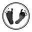 neonatalguidelines.com