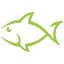 neongoldfish.com