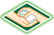 soapguildinsurance.com