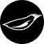 thepenguinstudio.com