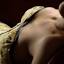thepenthouse.ch