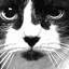 blogspot.ca